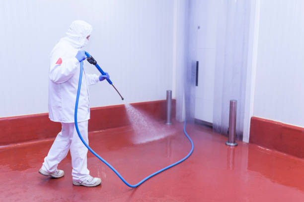 Trusted Carmel By The Sea, CA Pressure Washing Services Experts